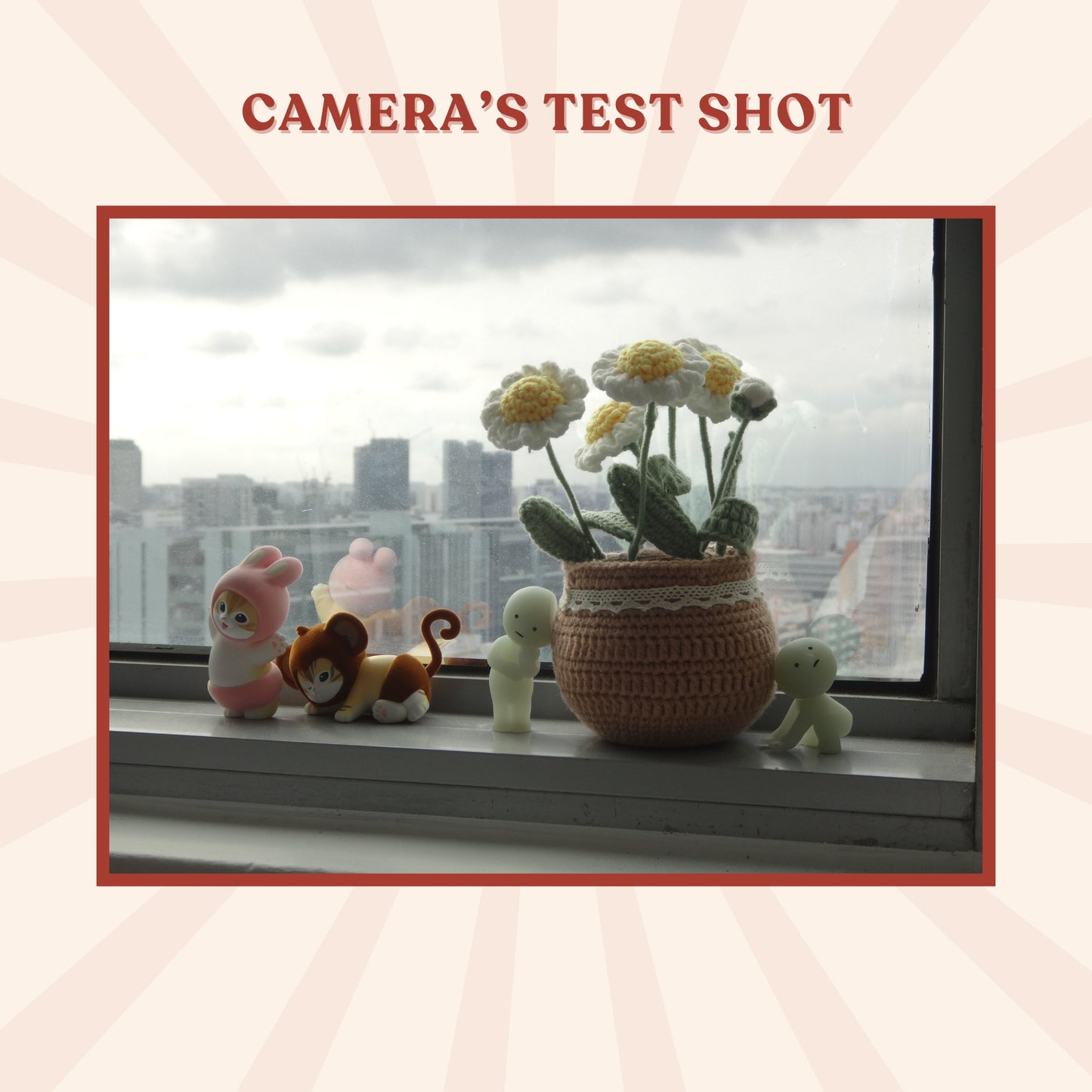 Sony Cybershot DSC-TX300V