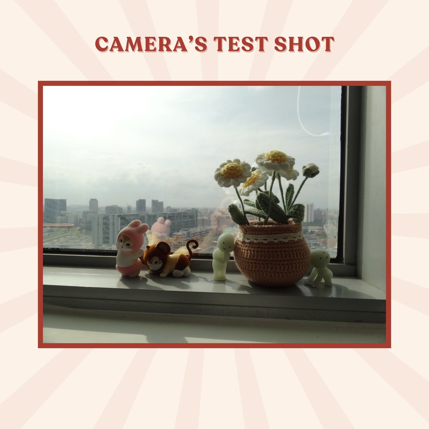 Sony Cybershot DSC-HX7