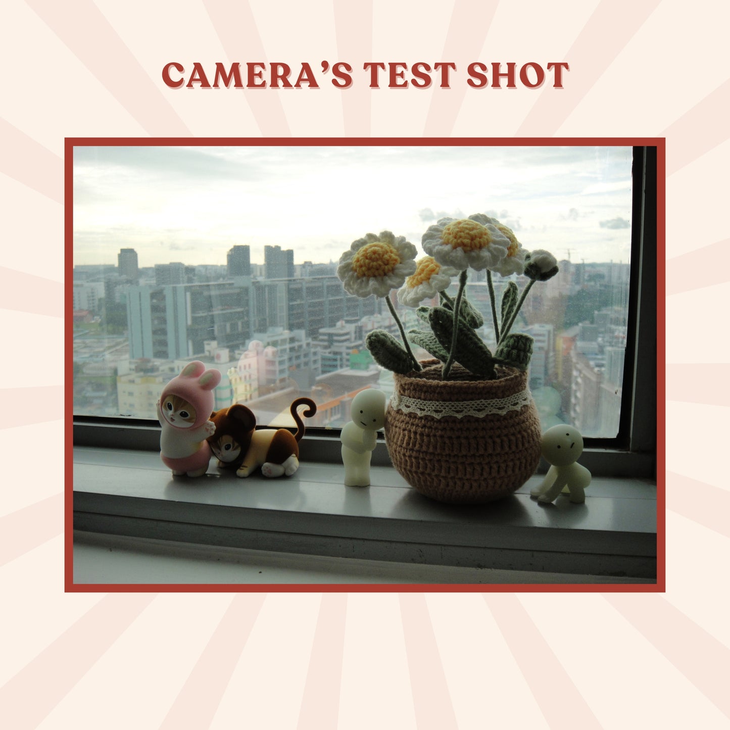 Sony Cybershot DSC-TX1