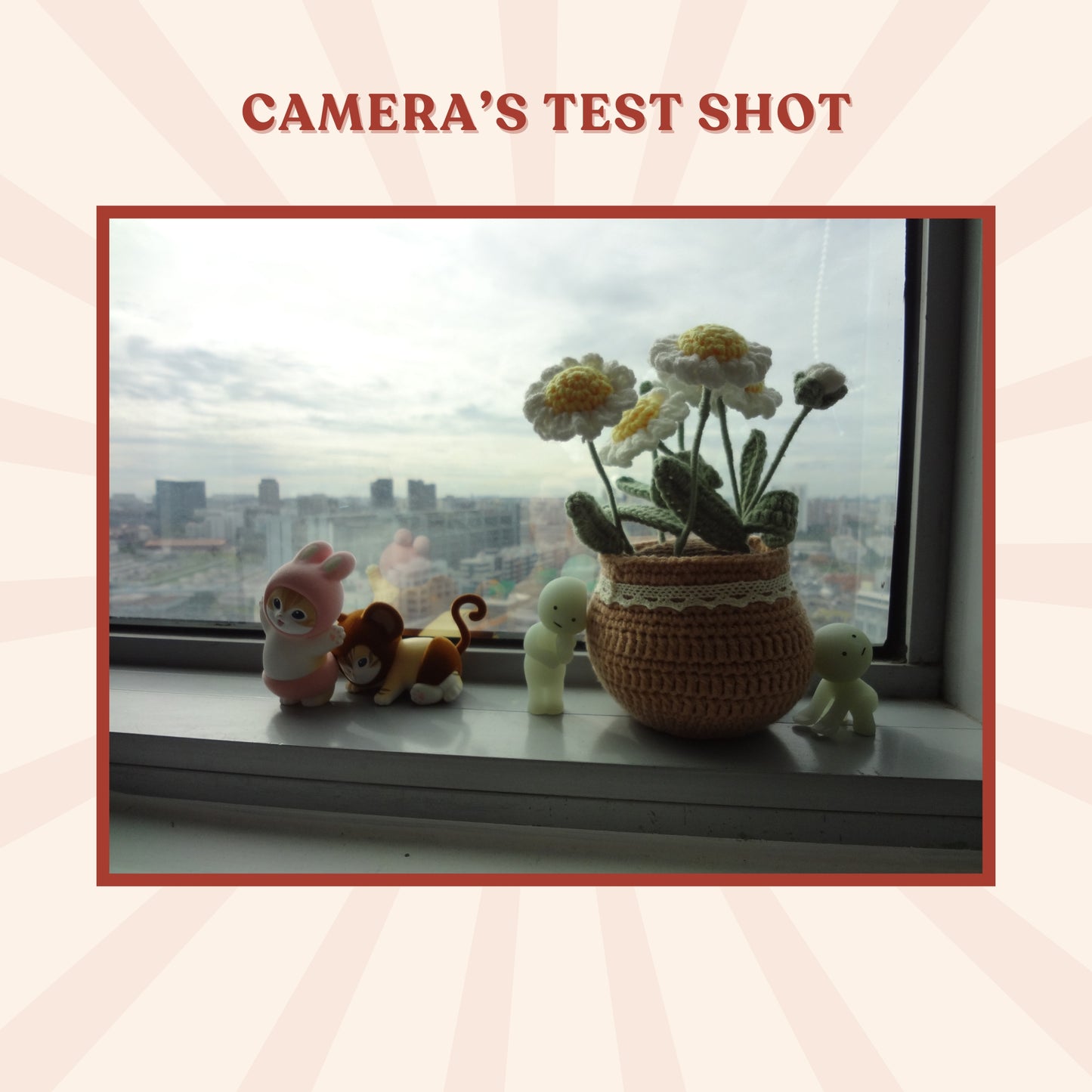 Sony Cybershot DSC-WX10