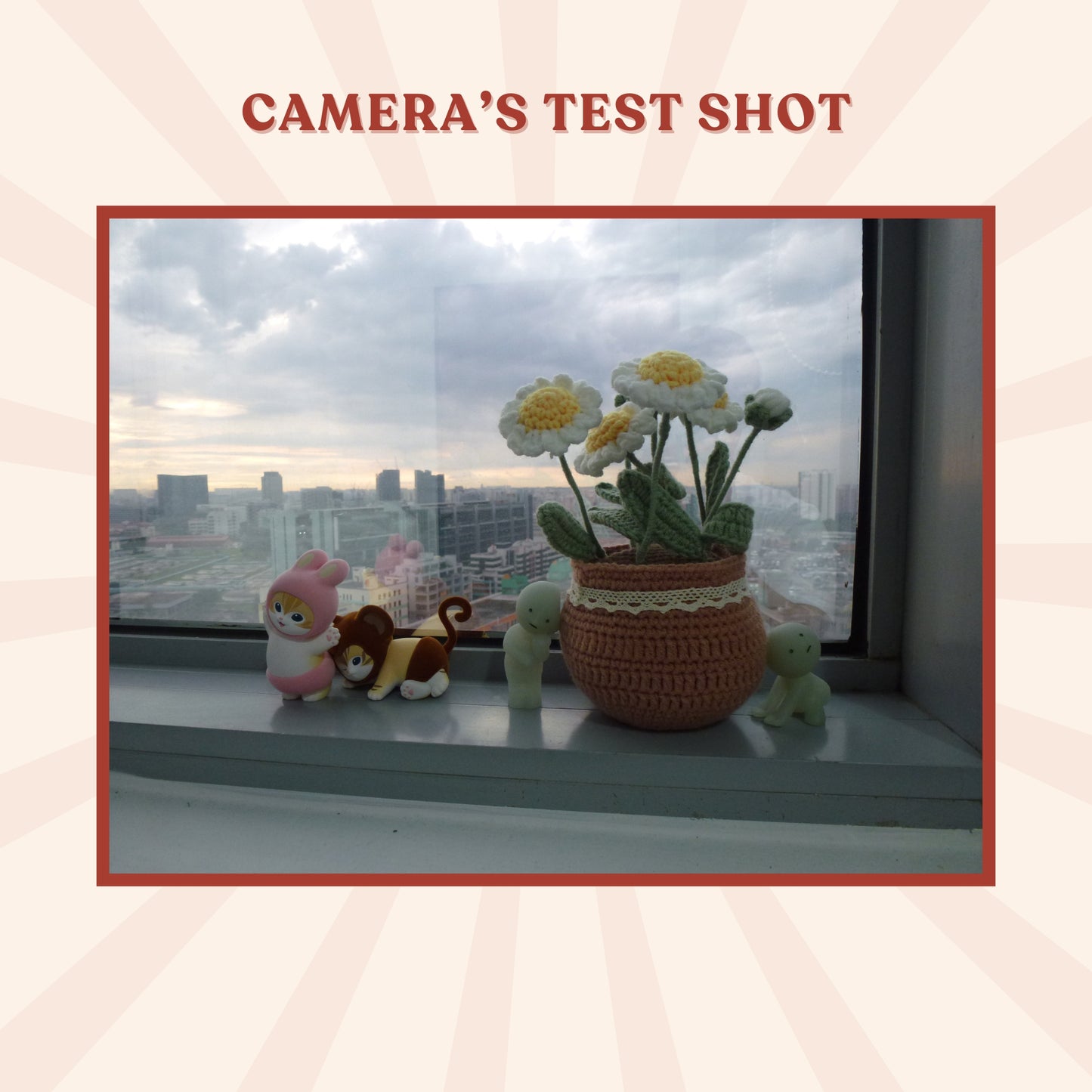 Panasonic Lumix DMC-TZ20