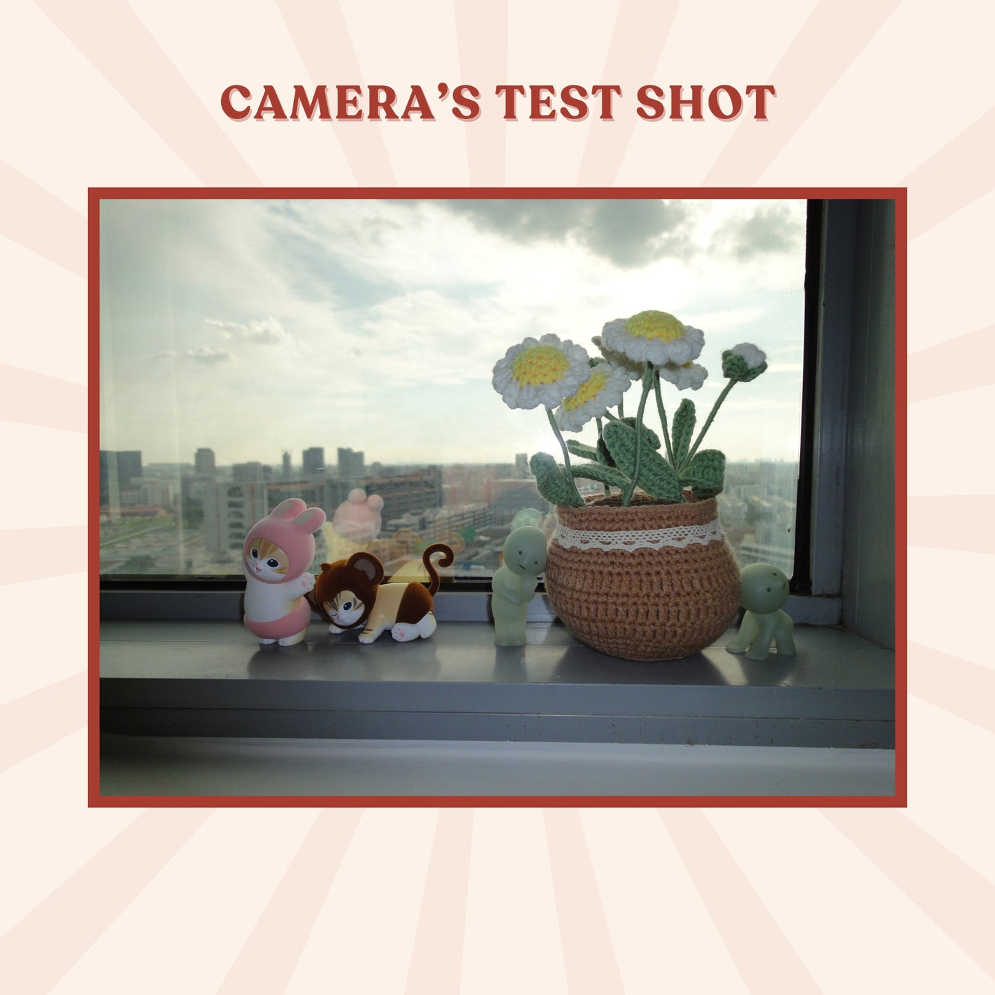 Sony Cybershot DSC-WX5