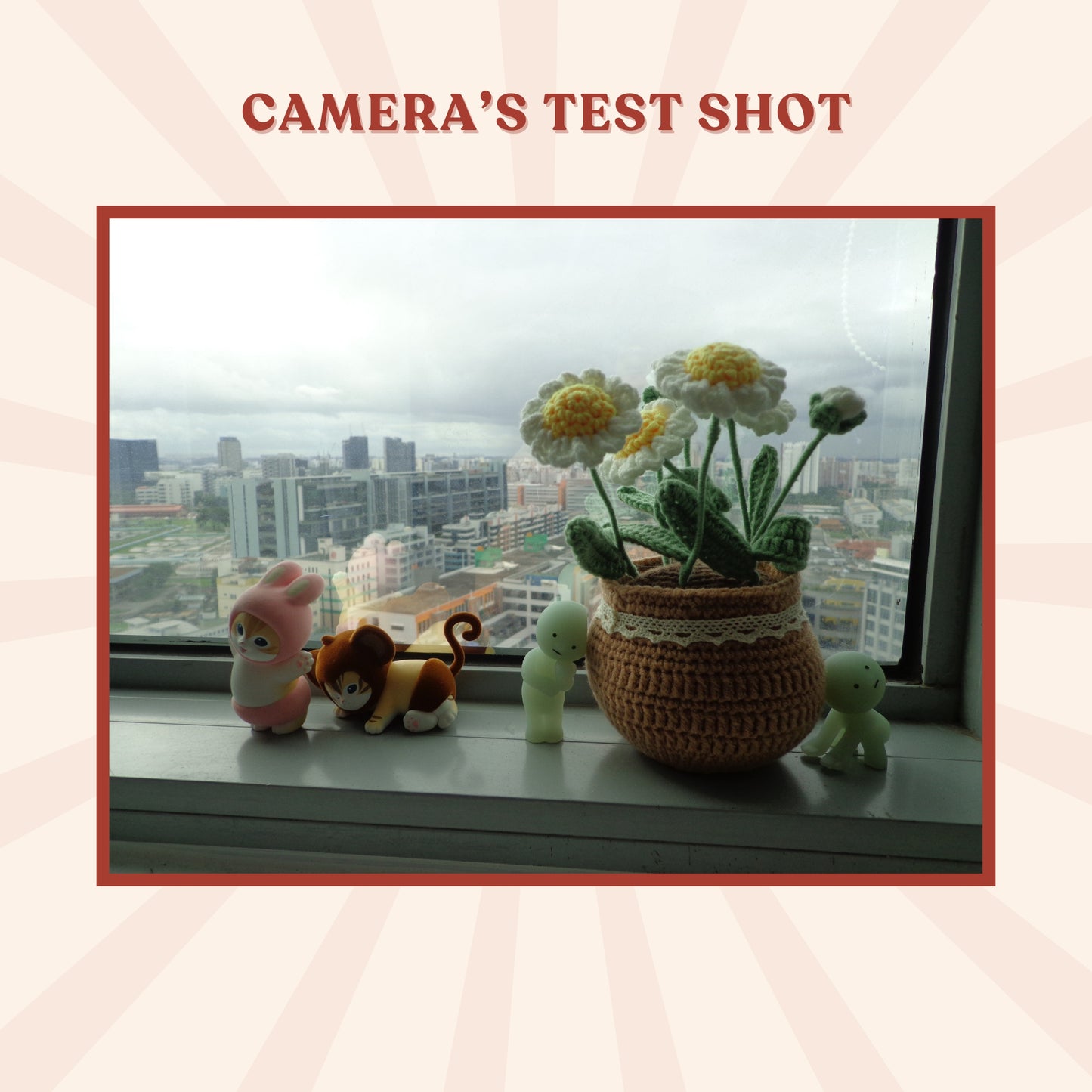 Sony Cybershot DSC-W630