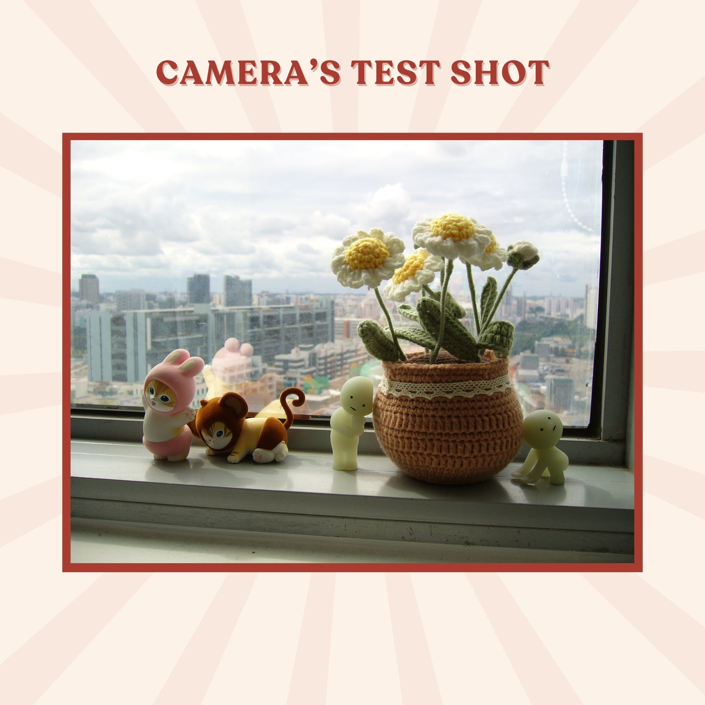 Panasonic Lumix DMC-LS1