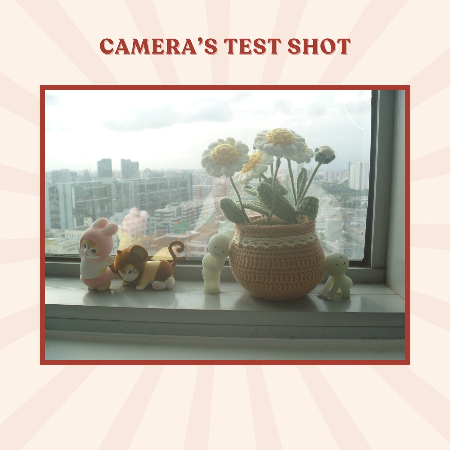 Panasonic Lumix DMC-FP1