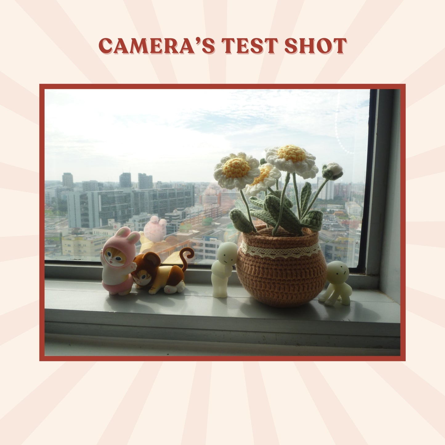 Panasonic Lumix DMC-FP8