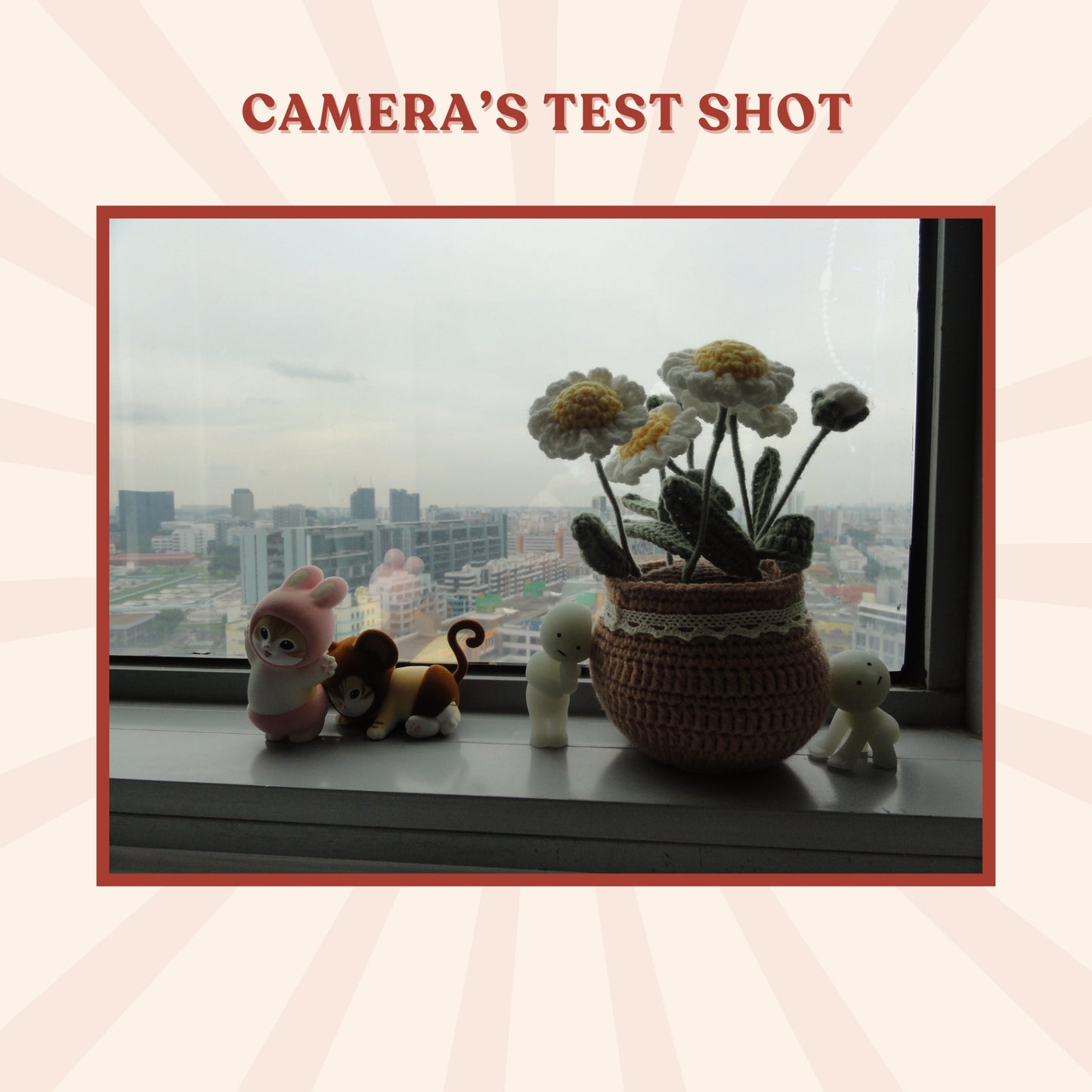 Sony Cybershot DSC-HX5