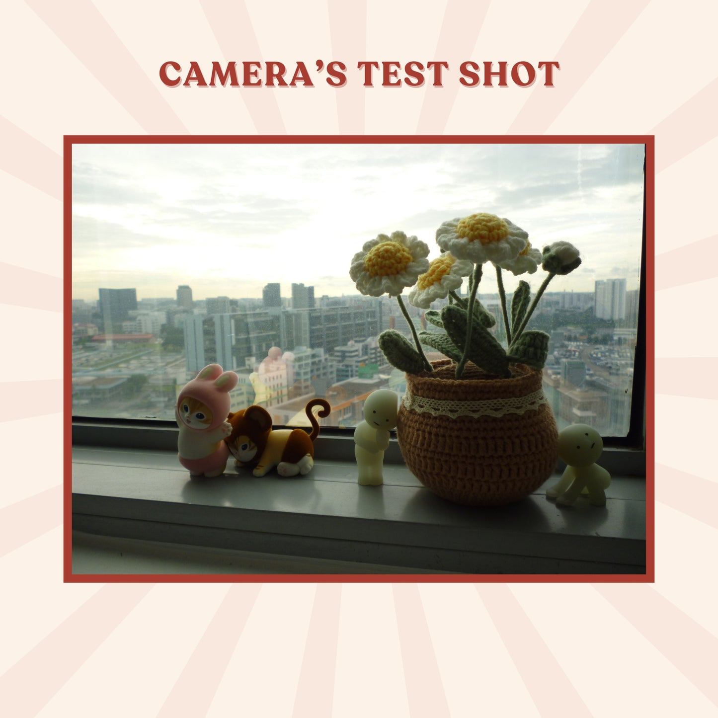 Panasonic Lumix DMC-S1