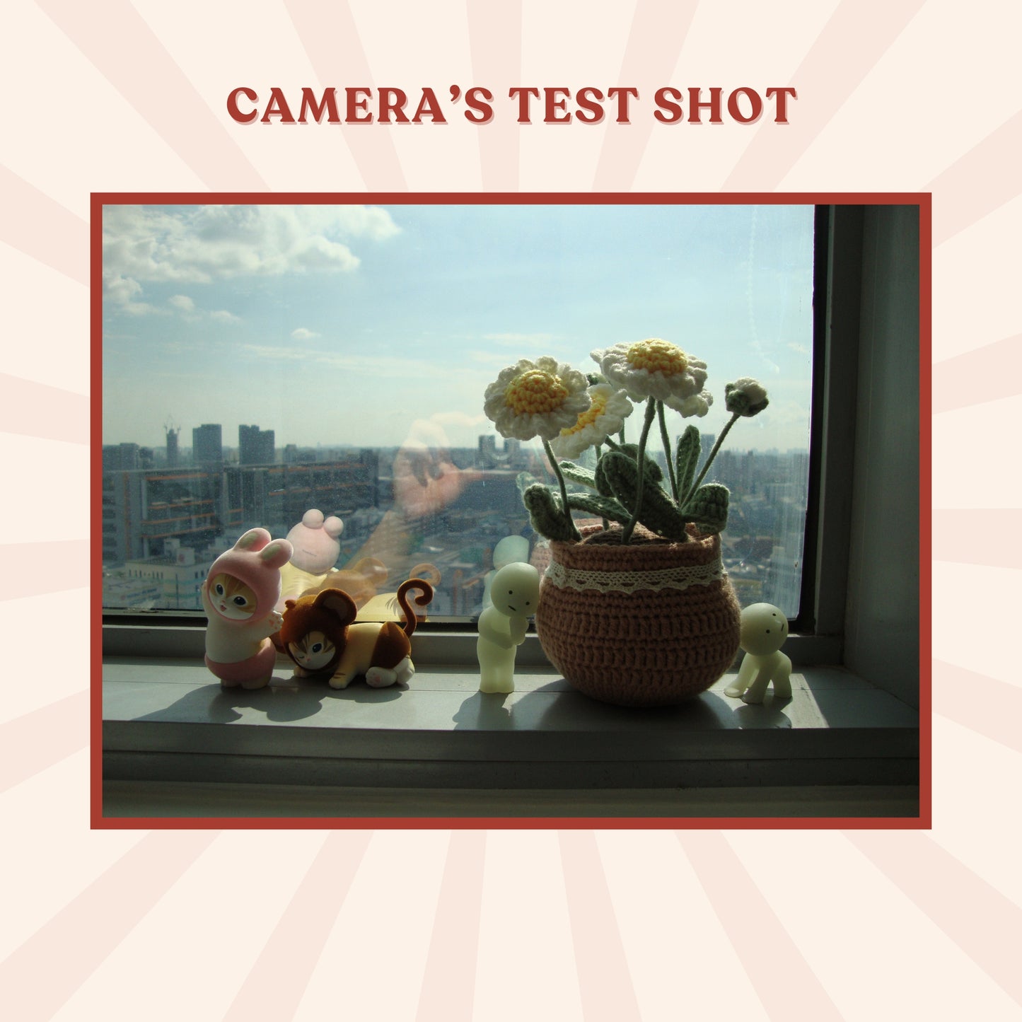 Sony Cybershot DSC-W220