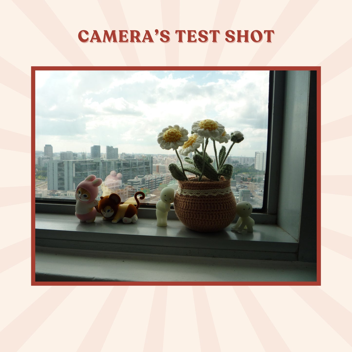 Panasonic Lumix DMC-FS20