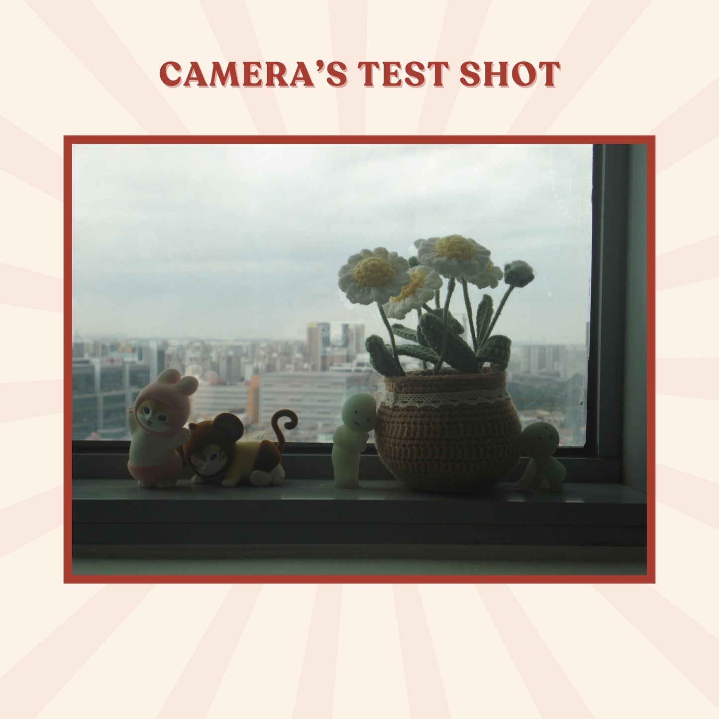 Sony Cybershot DSC-W35