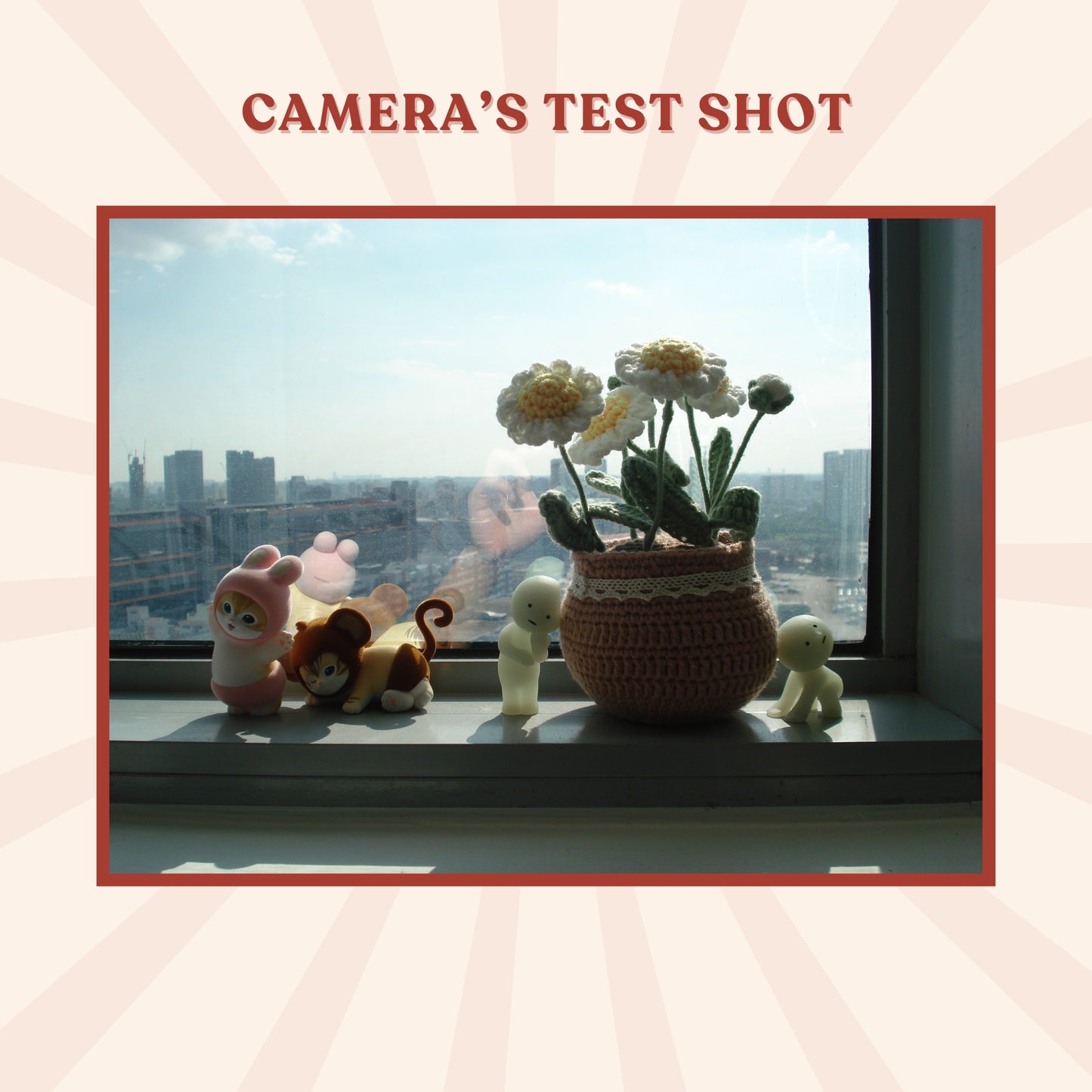 Sony Cybershot DSC-W70