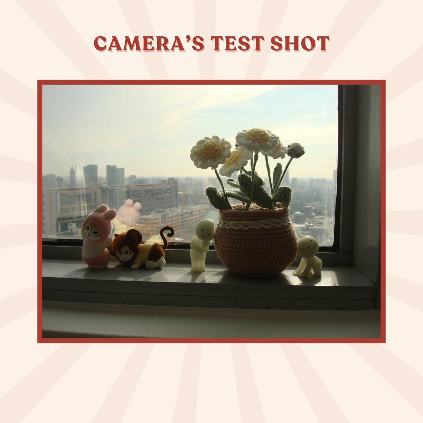 Sony Cybershot DSC-N2