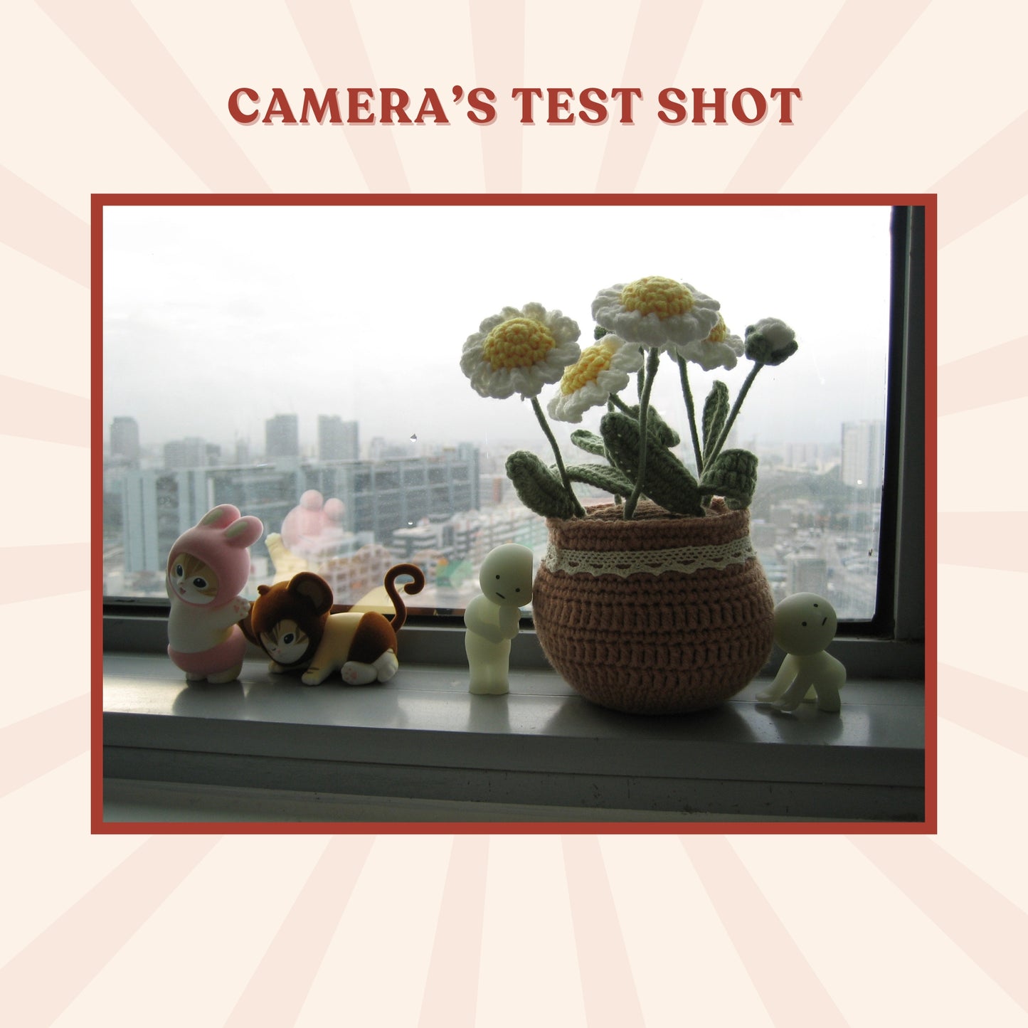 Canon Ixy Digital 55