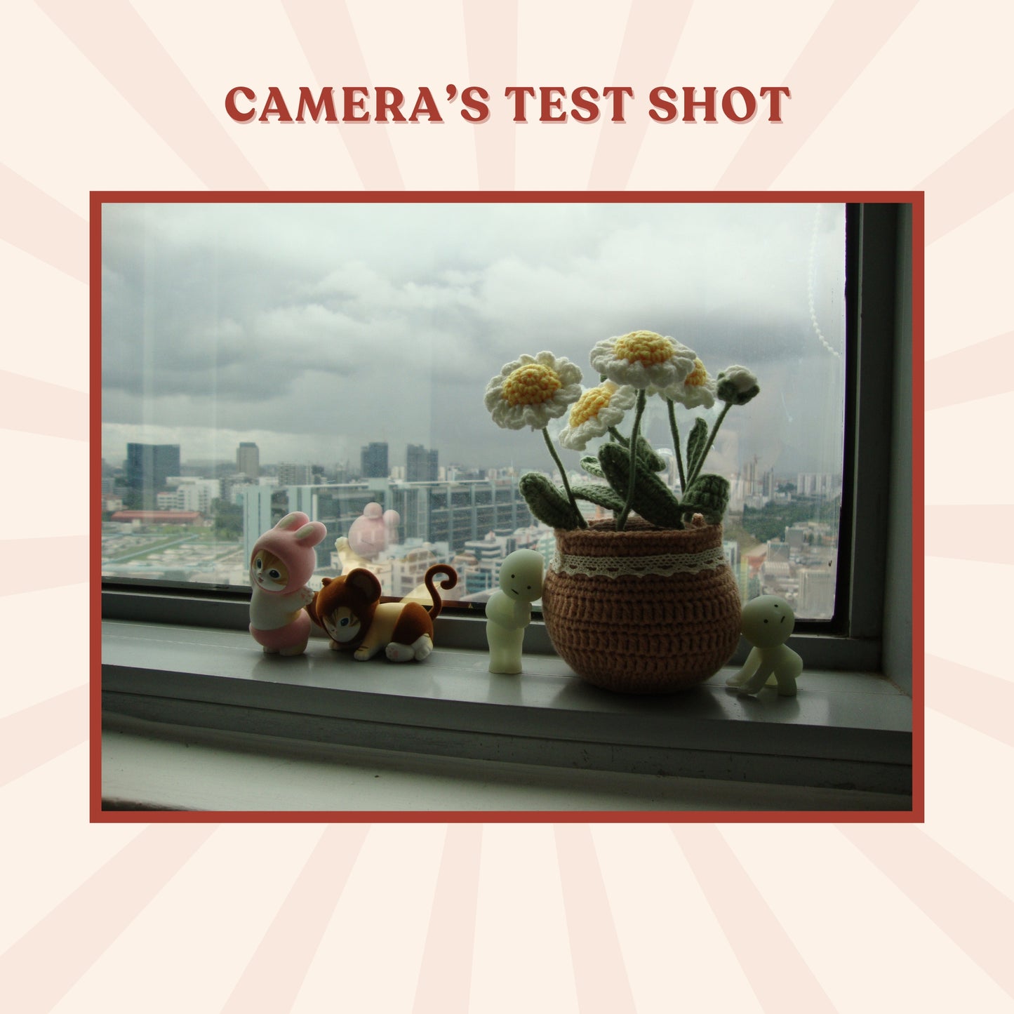 Sony Cybershot DSC-W220