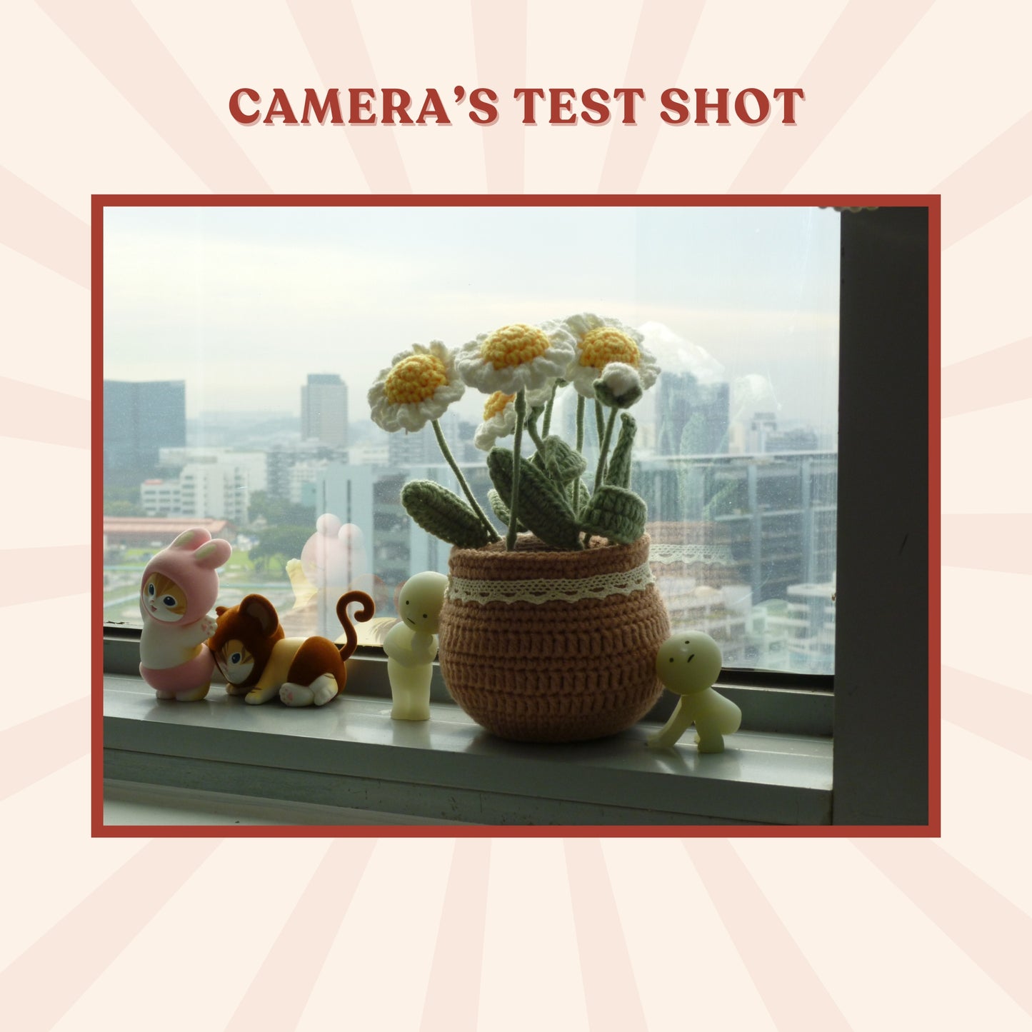 Panasonic Lumix DMC-FX66