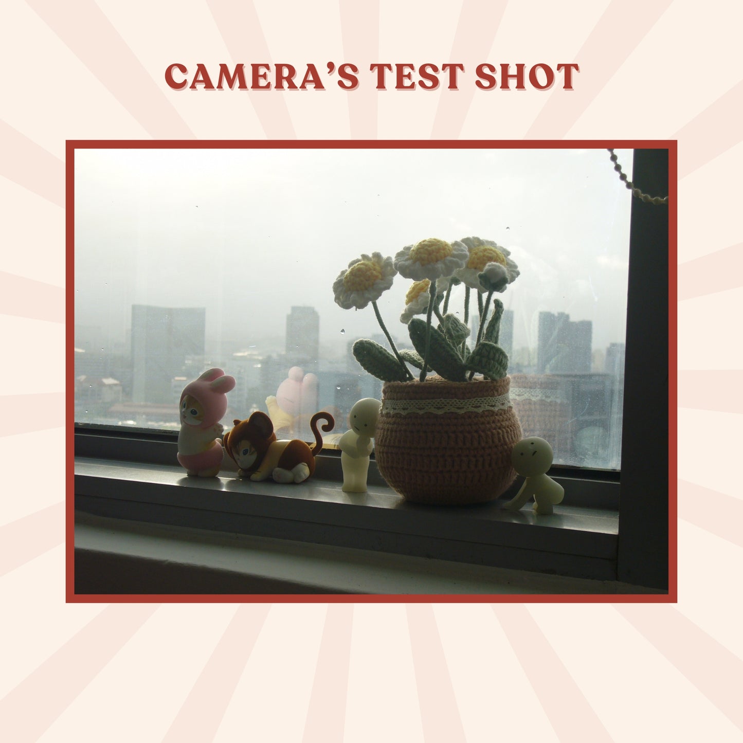 Panasonic Lumix DMC-FX01