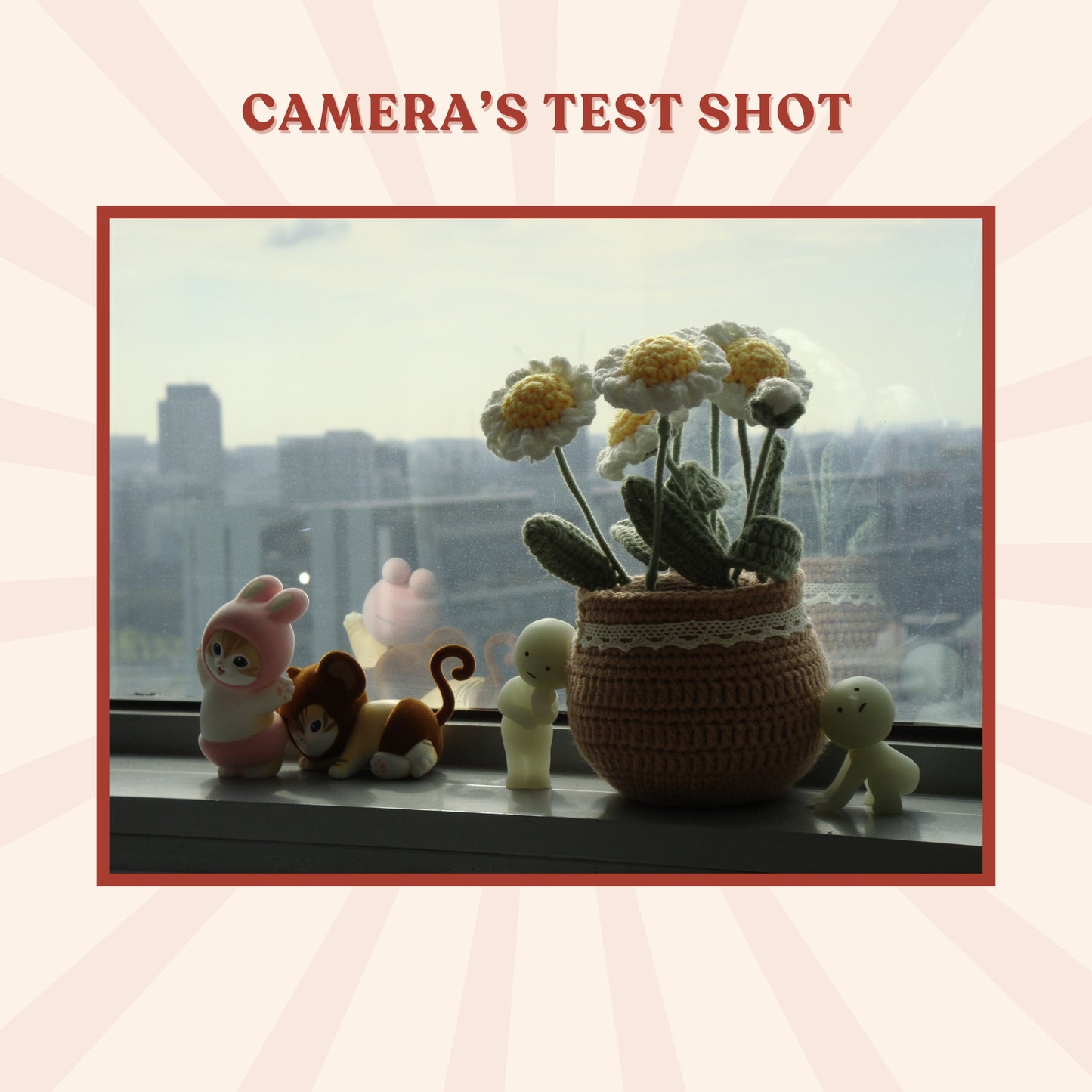 Sony Cybershot DSC-T77