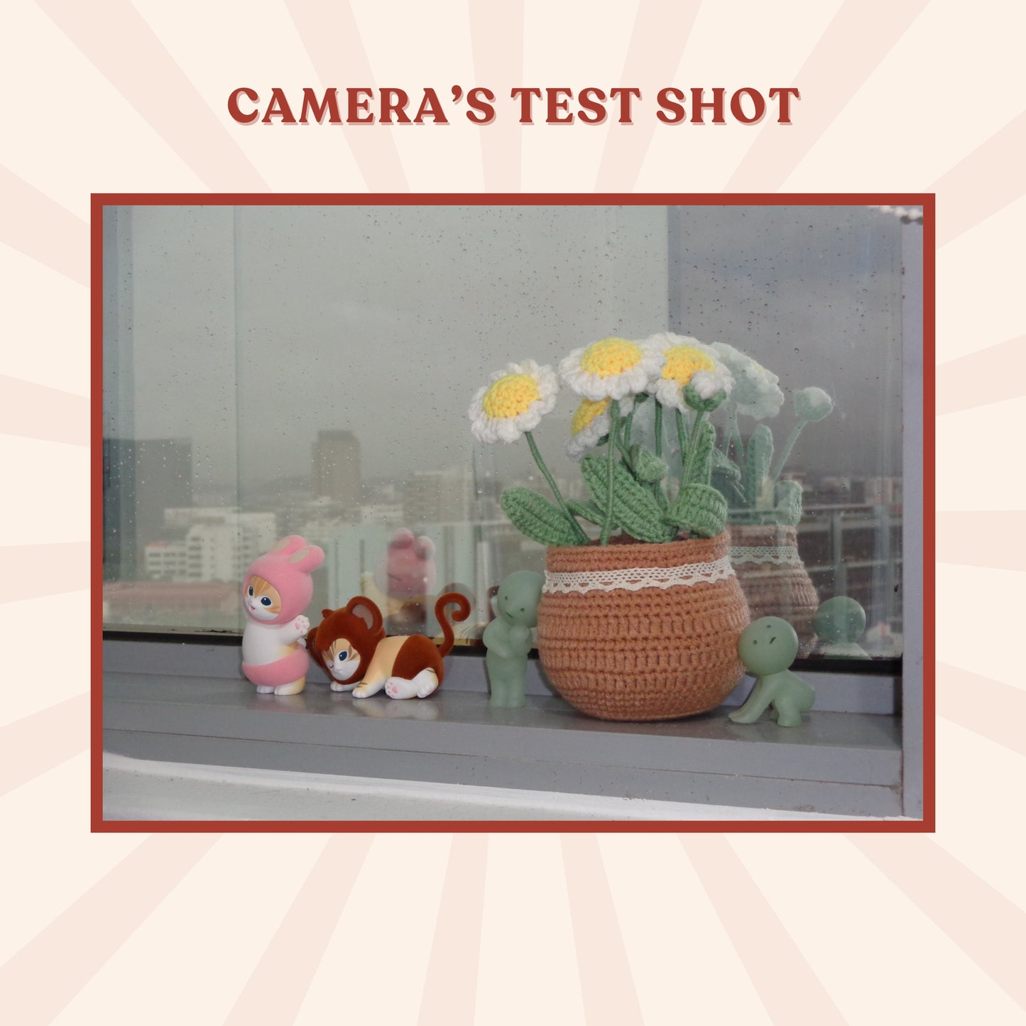 Sony Cybershot DSC-W690