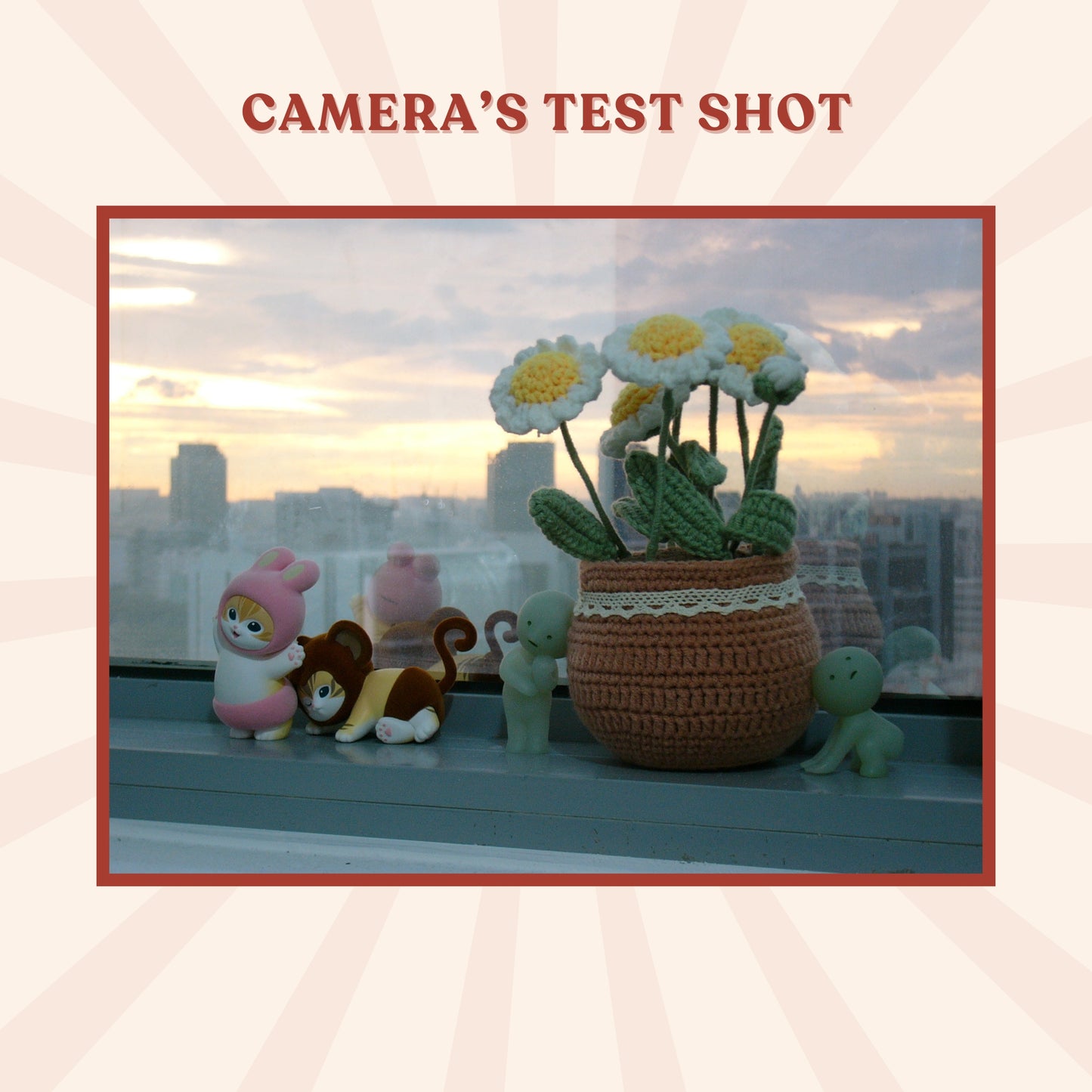 Panasonic Lumix DMC-FX1