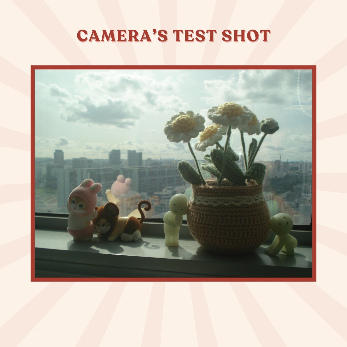 Sony Cybershot DSC-W70