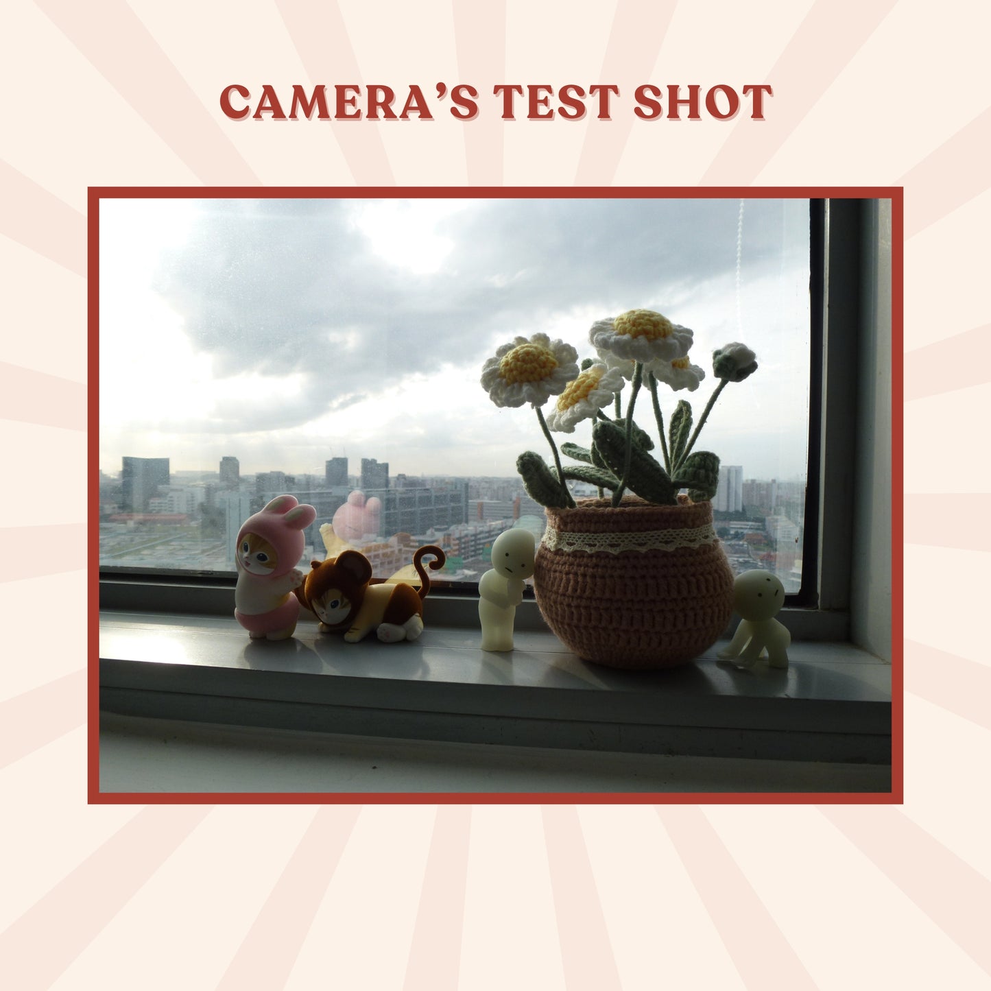 Panasonic Lumix DMC-TZ20