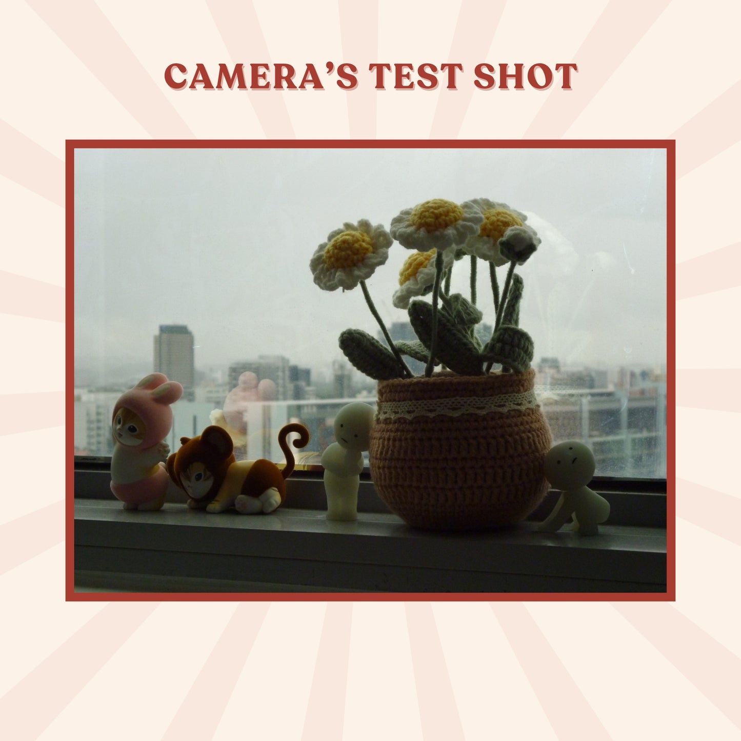 Panasonic Lumix DMC-S1