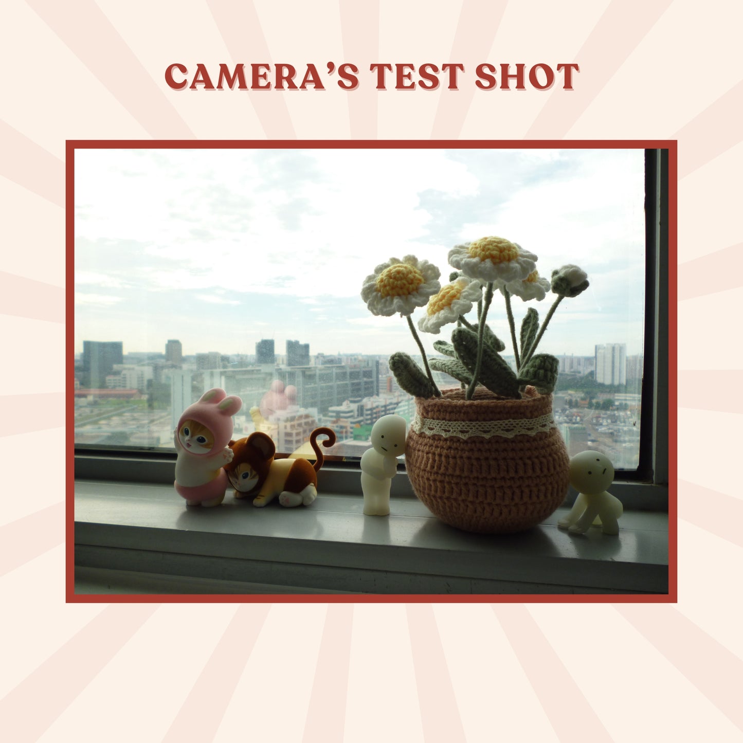 Panasonic Lumix DMC-S1