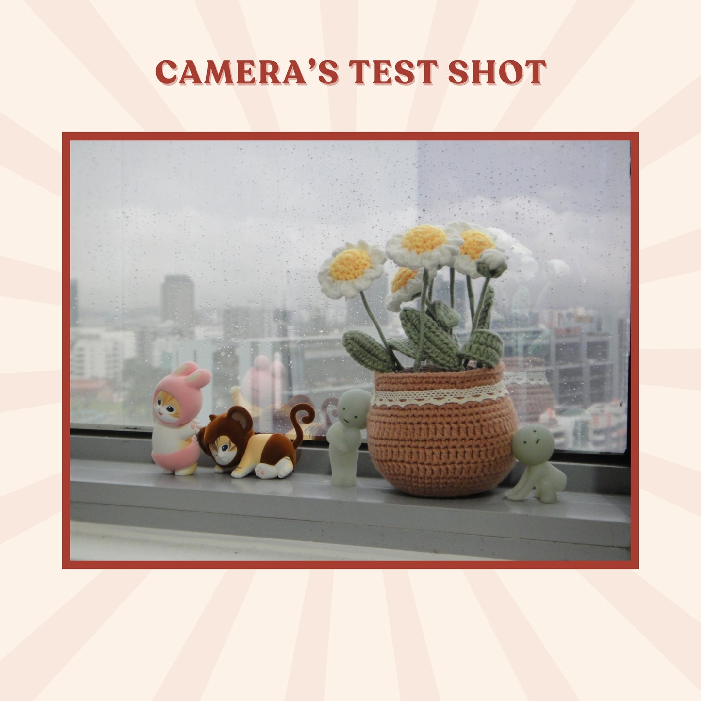 Sony Cybershot DSC-TX5