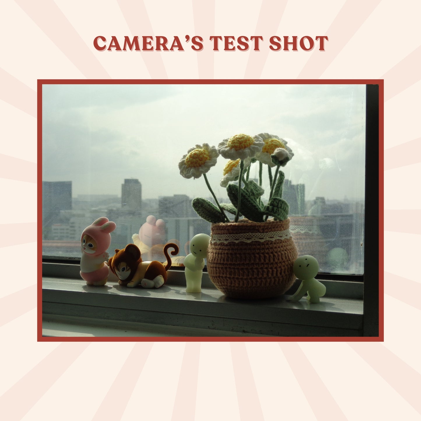 Sony Cybershot DSC-W690