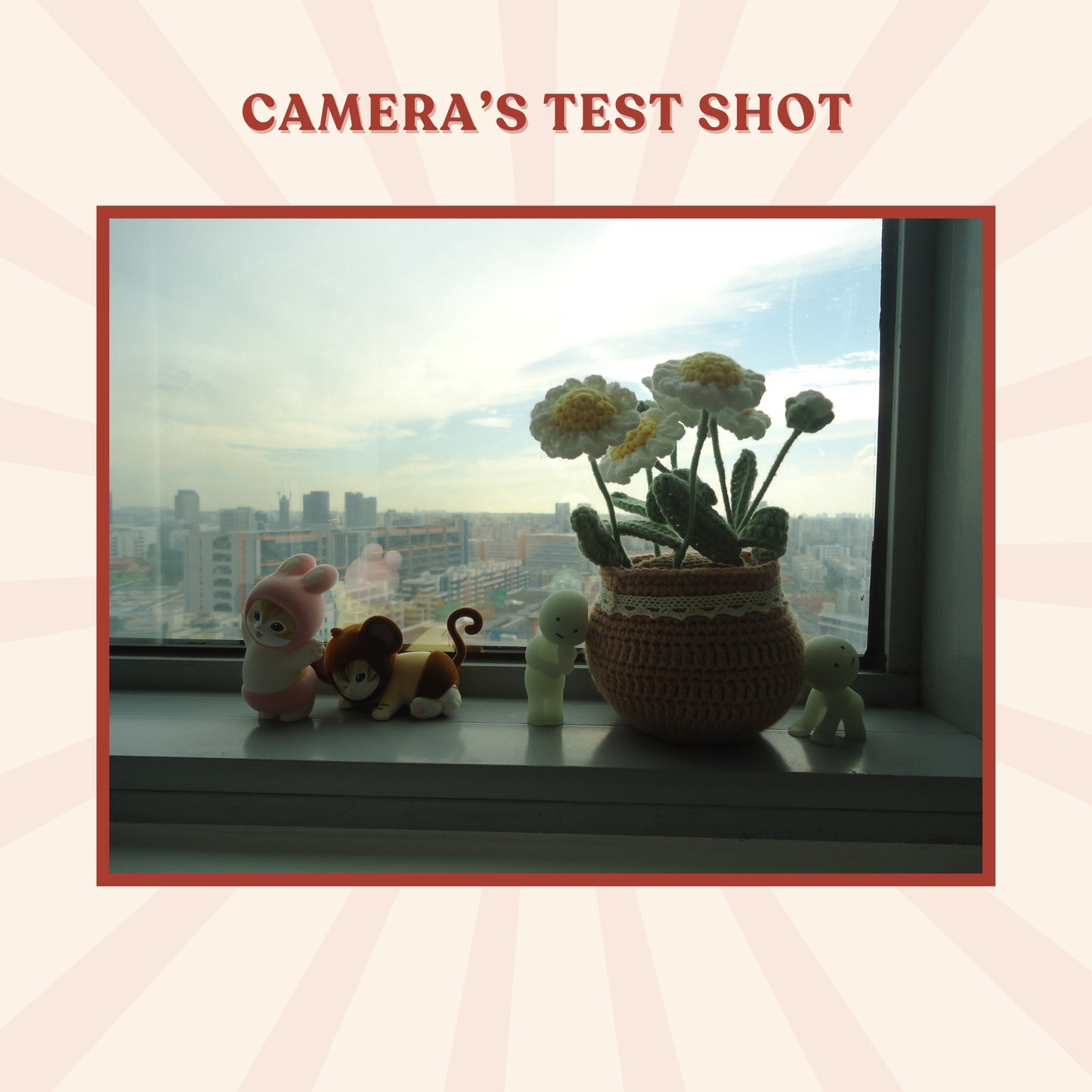 Sony Cybershot DSC-W610