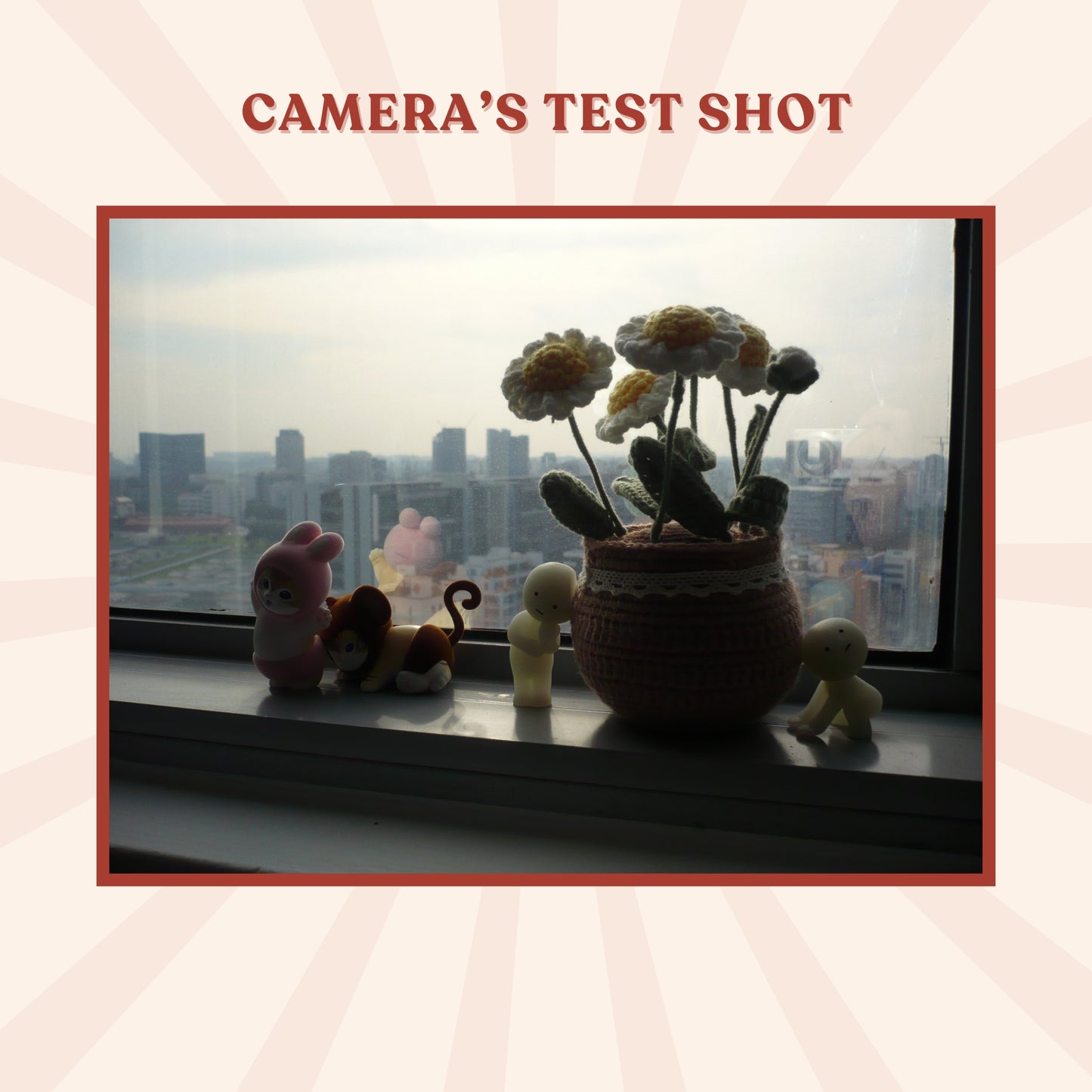 Panasonic Lumix DMC-FS1