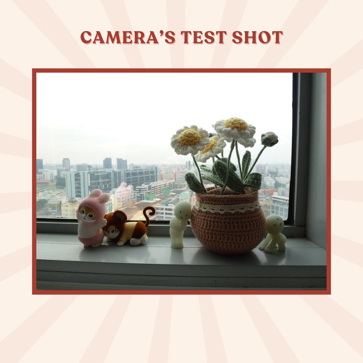 Panasonic Lumix DMC-TZ20