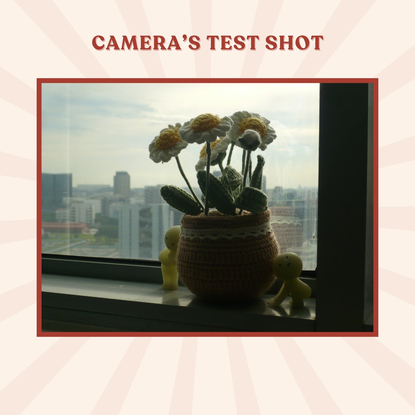 Panasonic Lumix DMC-LS75