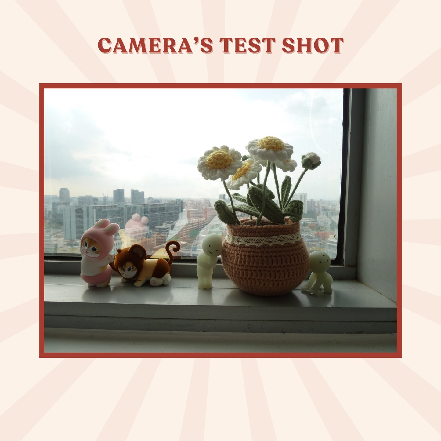 Panasonic Lumix DMC-TZ10