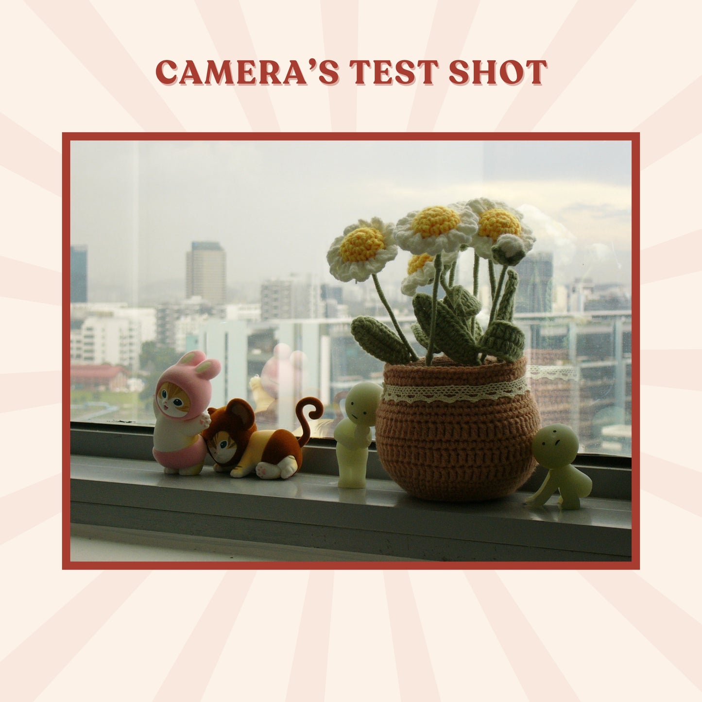 Panasonic Lumix DMC-FX1