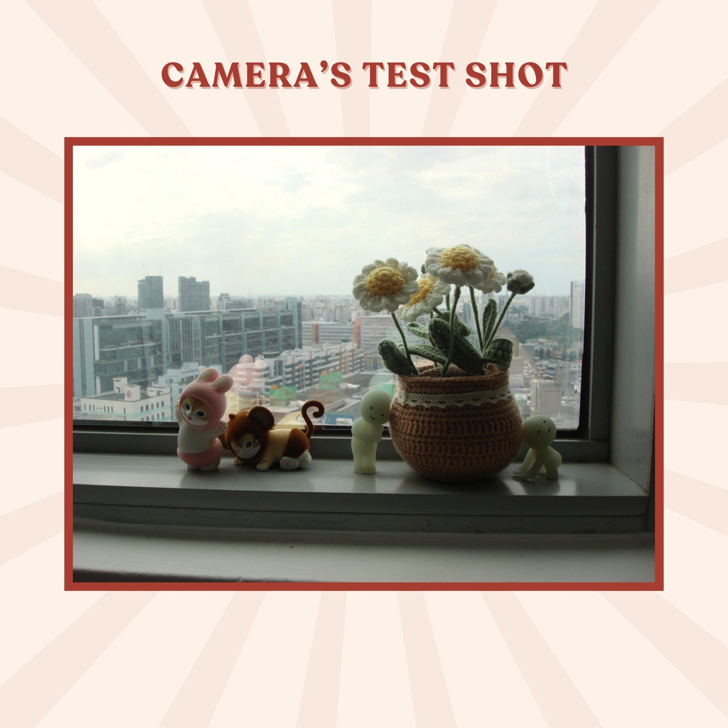 Sony Cybershot DSC-N2