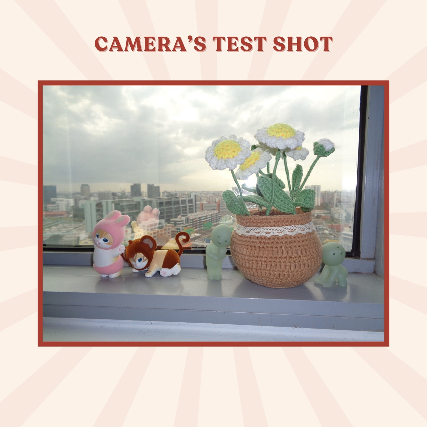 Sony Cybershot DSC-W830