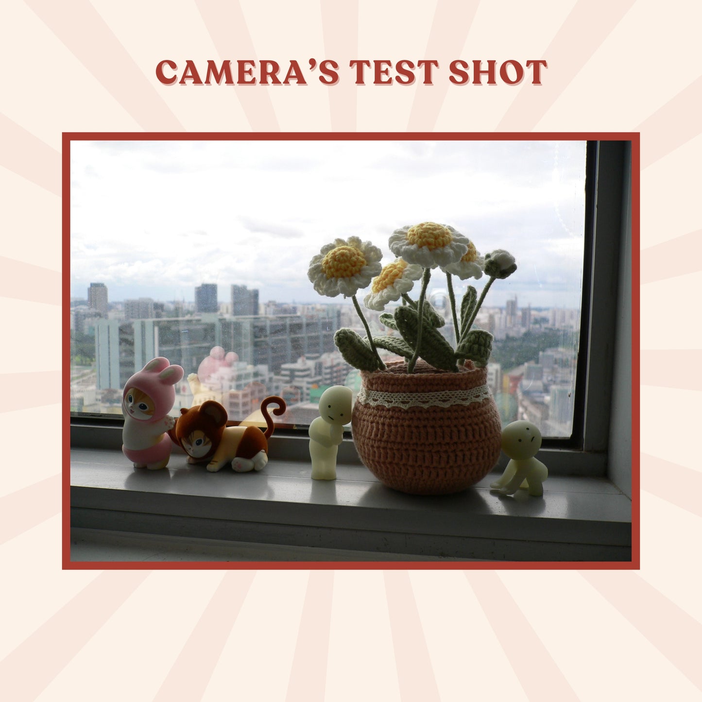 Panasonic Lumix DMC-FX2